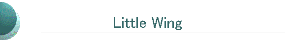 Little Wing